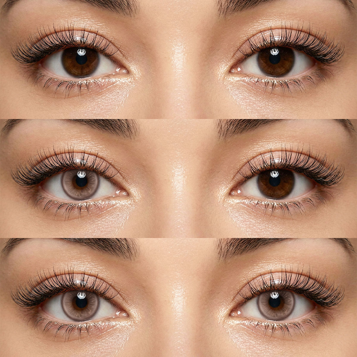 Akiwaii Lirien Chocolate[Yearly]