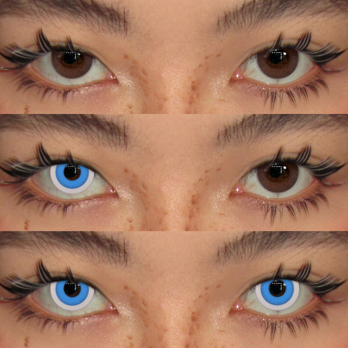 Akiwaii Intense Blue [Yearly]