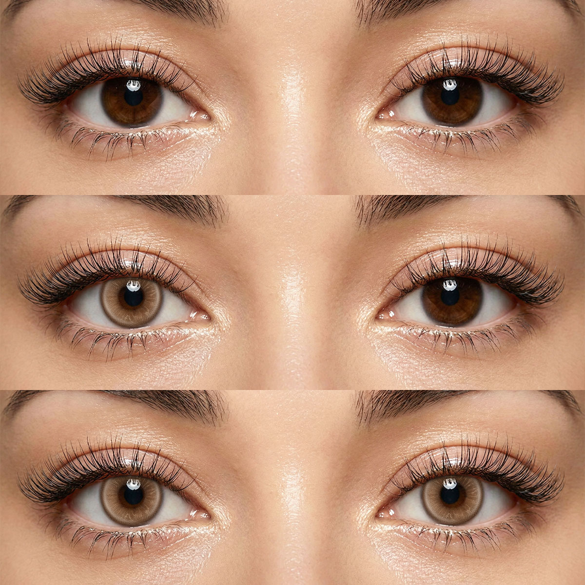 Akiwaii Lirien Brown[Yearly]