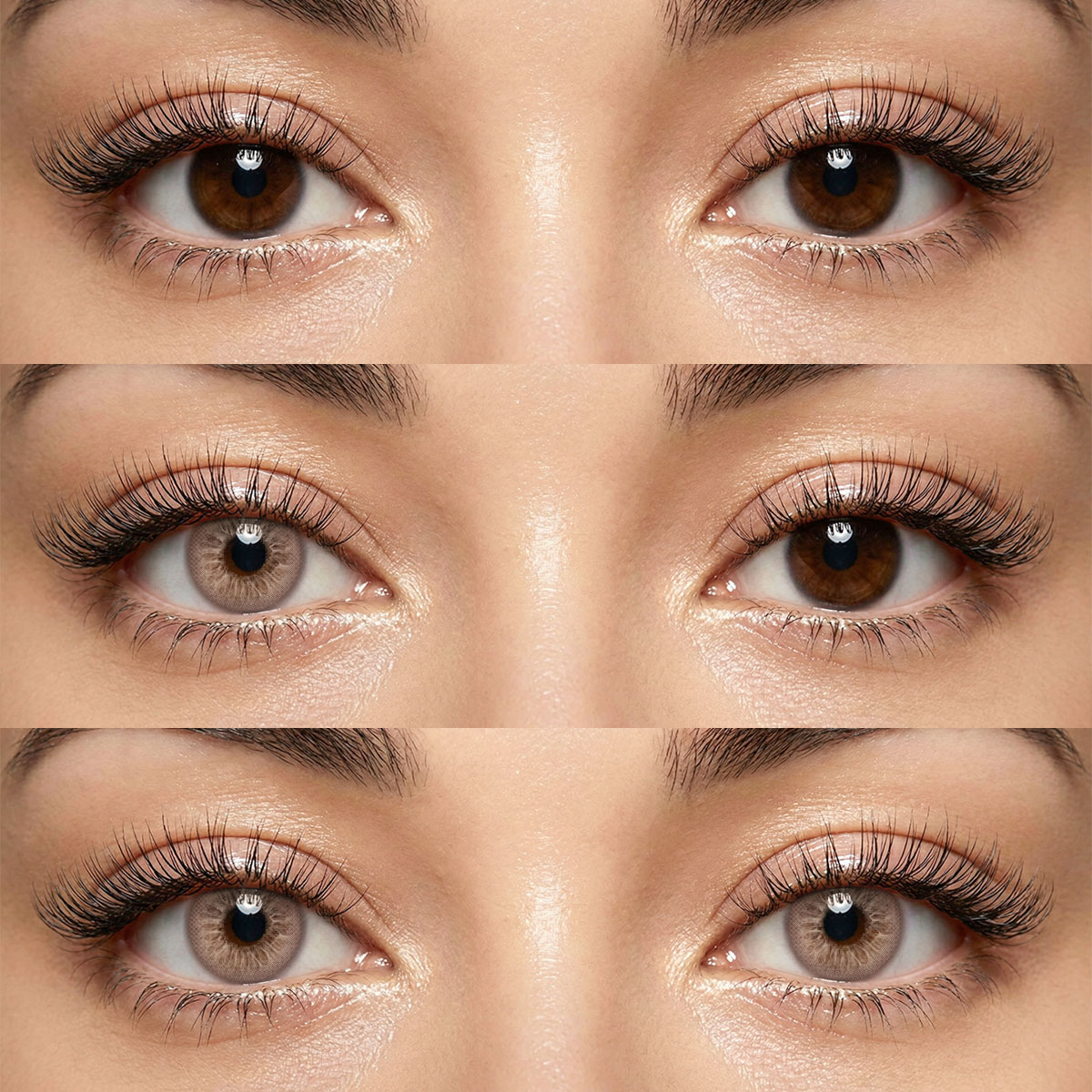 Akiwaii Solene Brown [Yearly]