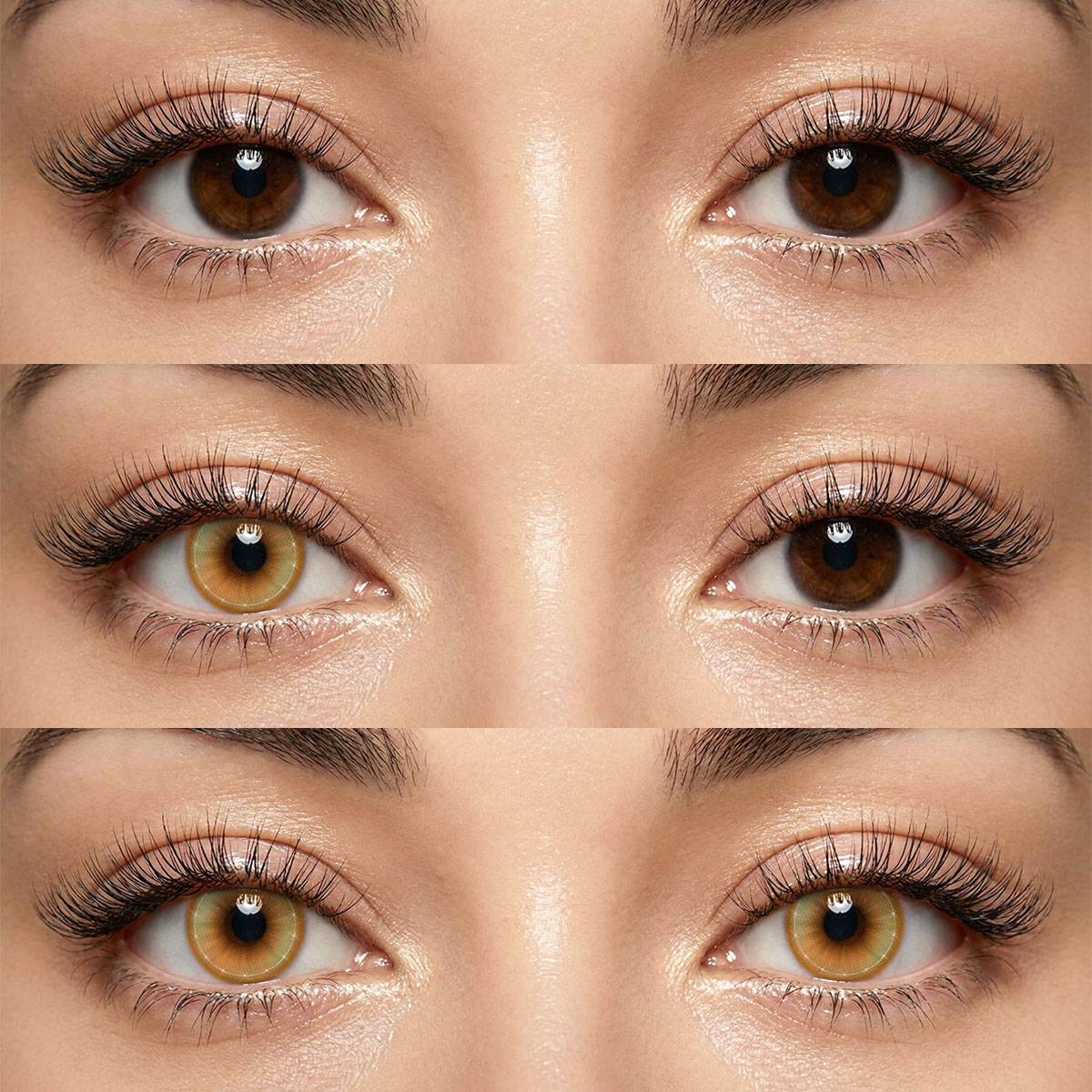 Akiwaii Thalassa Brown [Yearly]