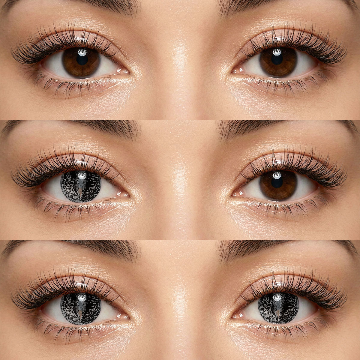 Akiwaii Basilisk Black [6-Month Wear]