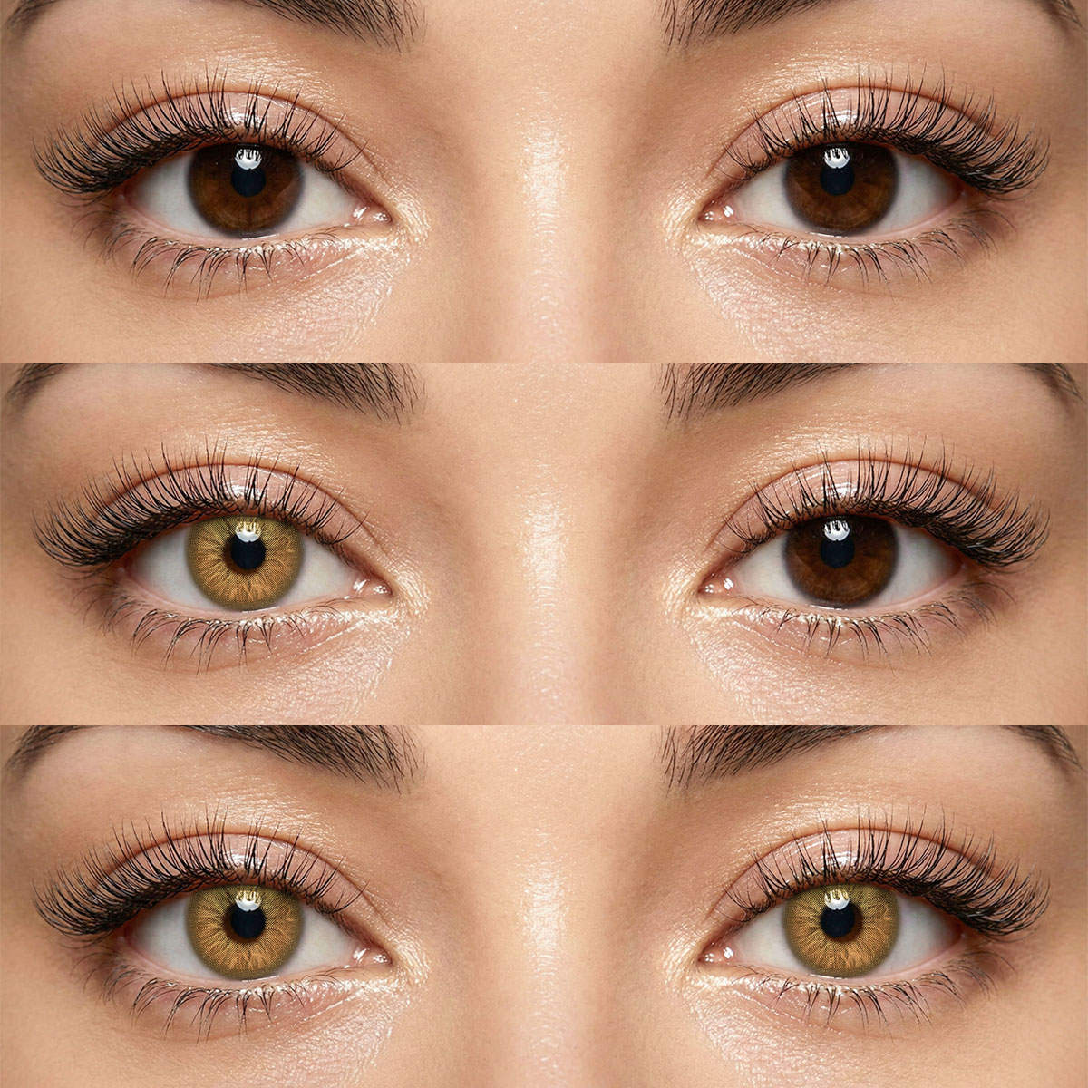 Akiwaii Faylinn Brown [Yearly]