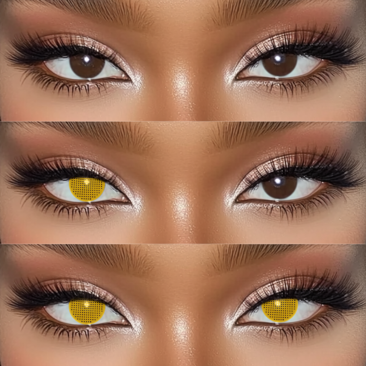 Akiwaii Screen Brown [Yearly]