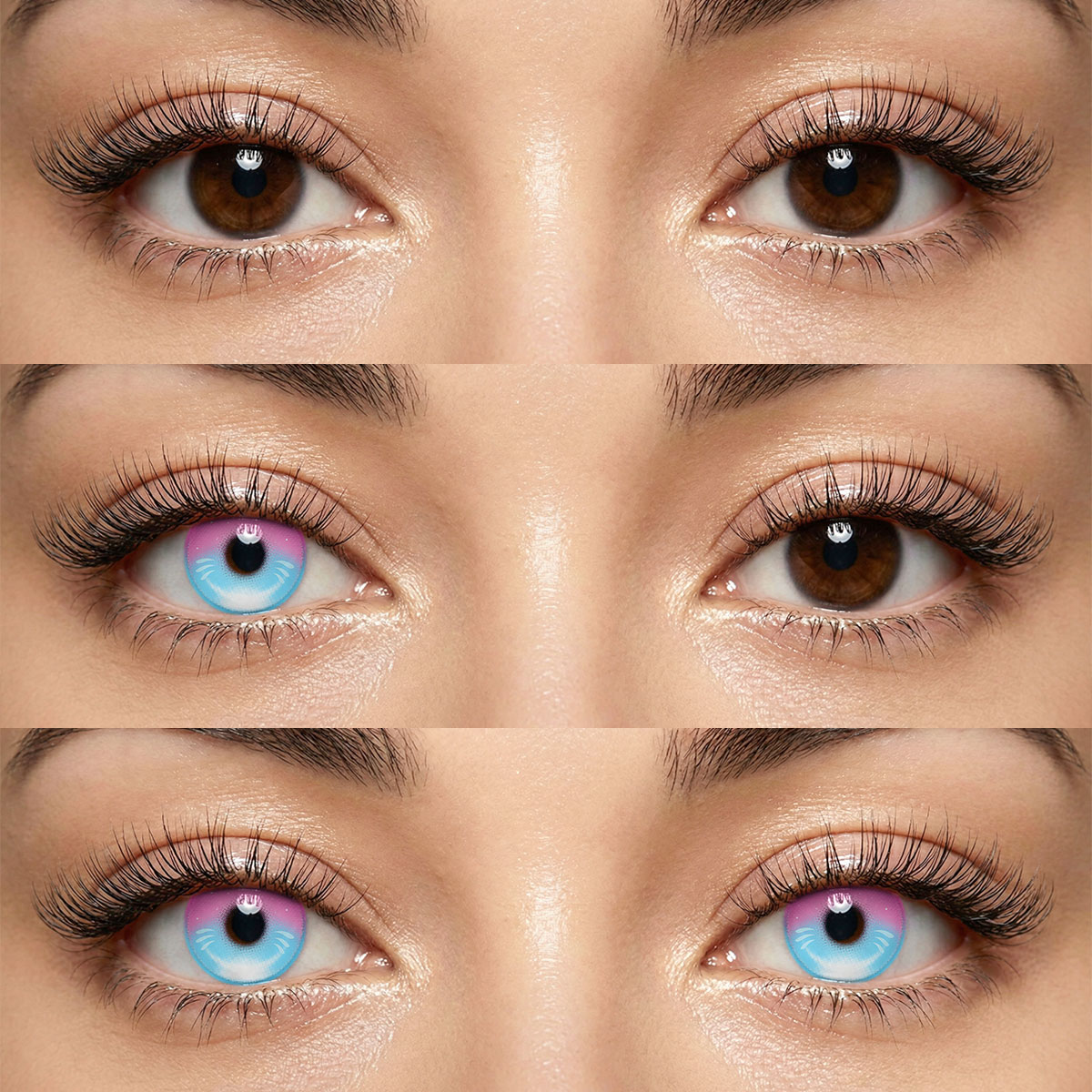 Akiwaii Bluebell Blue-Pink [Yearly]