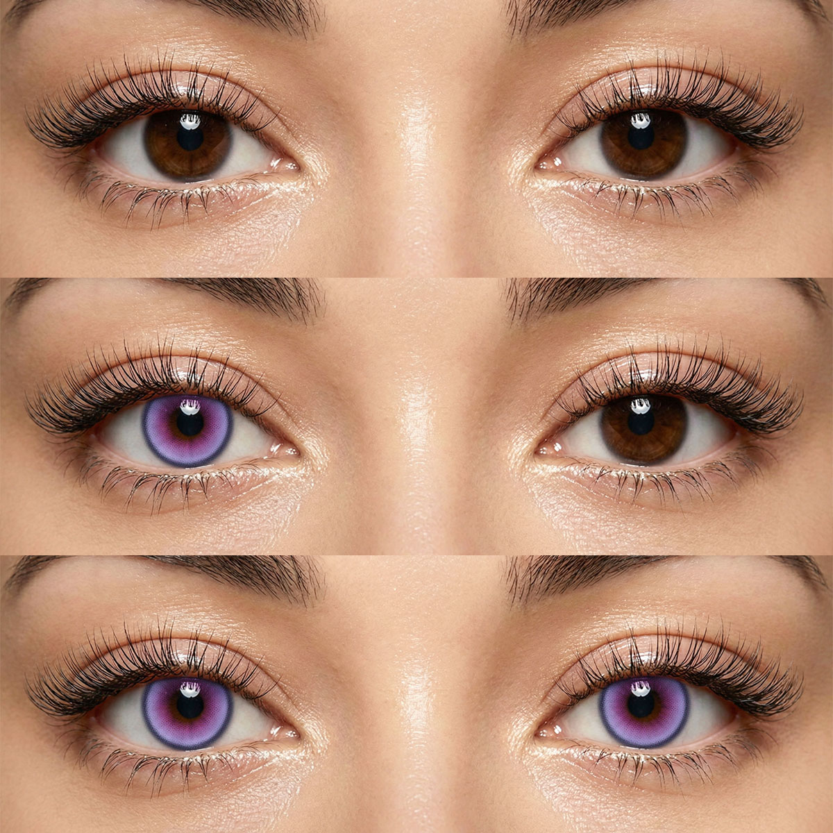 Akiwaii Berris Purple[Yearly]