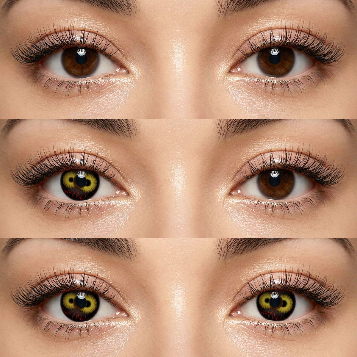 Akiwaii Dual Inferno Brown [Yearly]