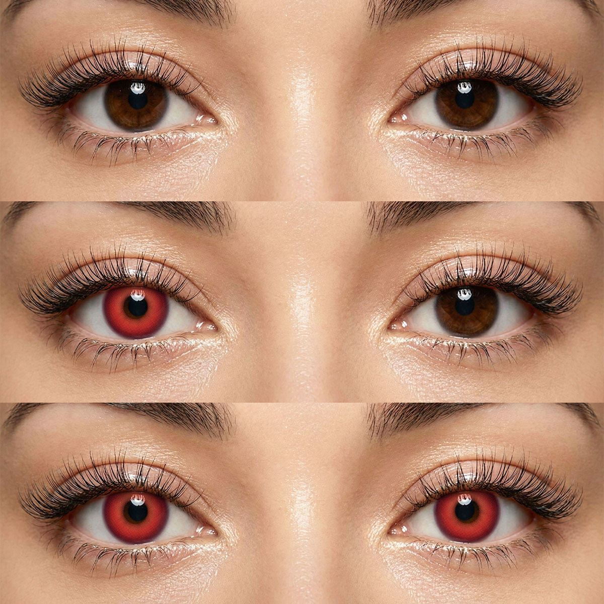 Akiwaii Jewel Red[Yearly]