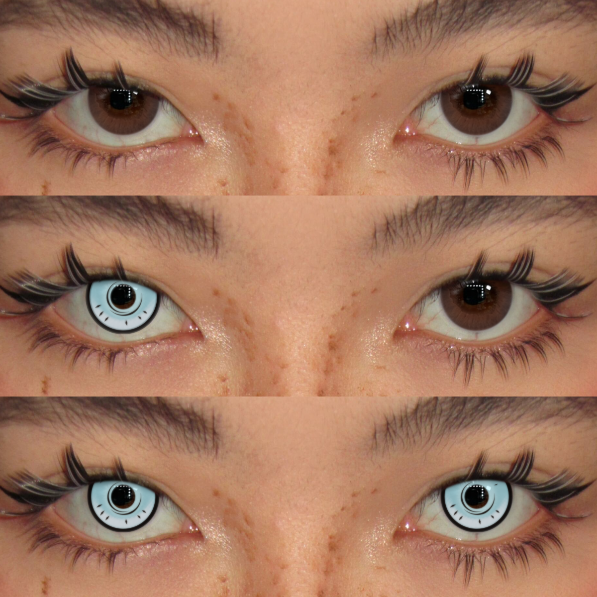 Akiwaii Gojo Blue [Yearly]