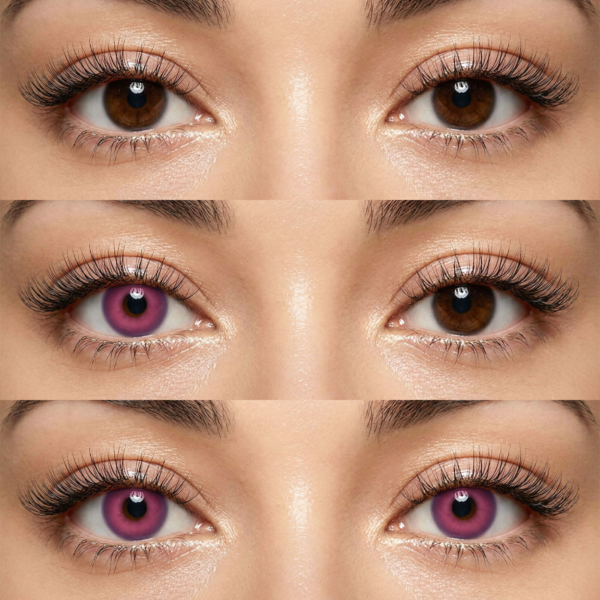 Akiwaii Jewel Purple[Yearly]