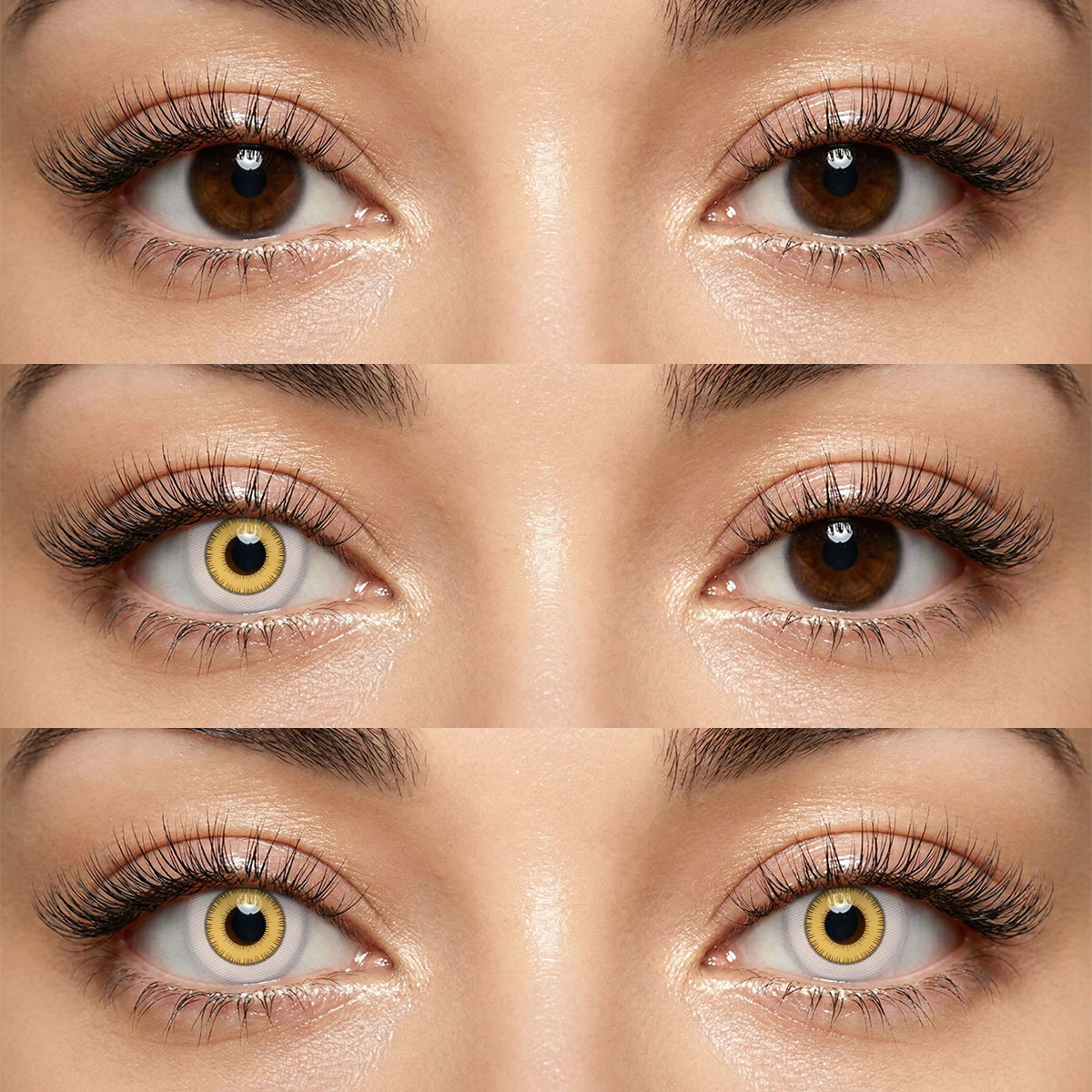 Akiwaii Intense Yellow [Yearly]