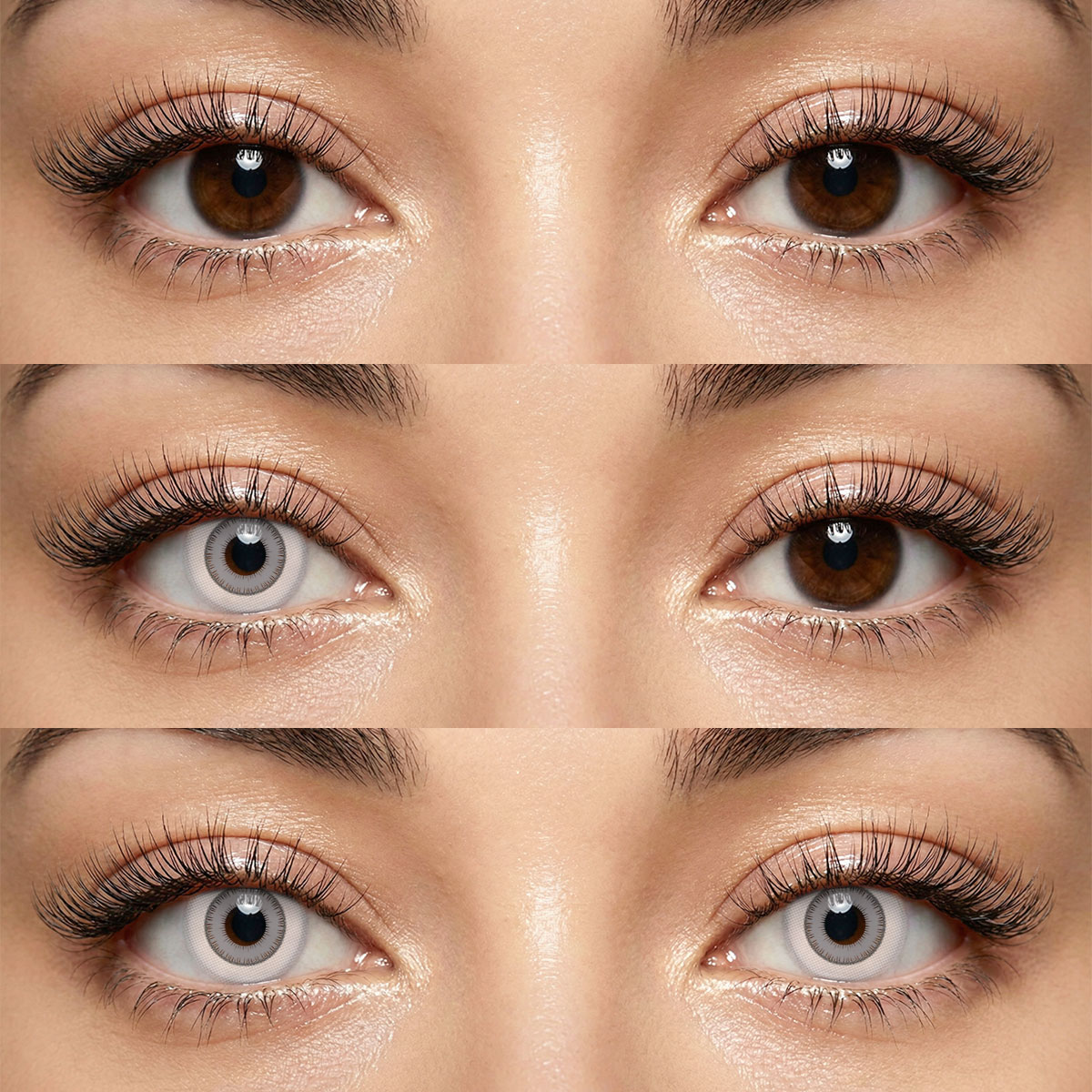 Akiwaii Intense Grey [Yearly]