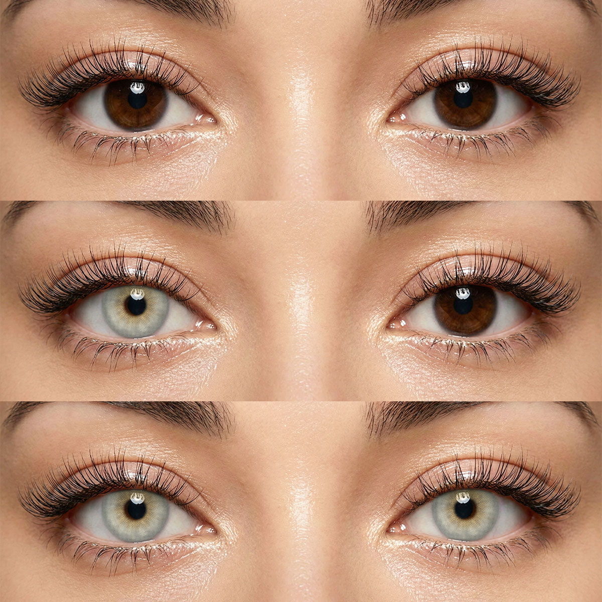 Akiwaii Sirius Grey [Yearly]