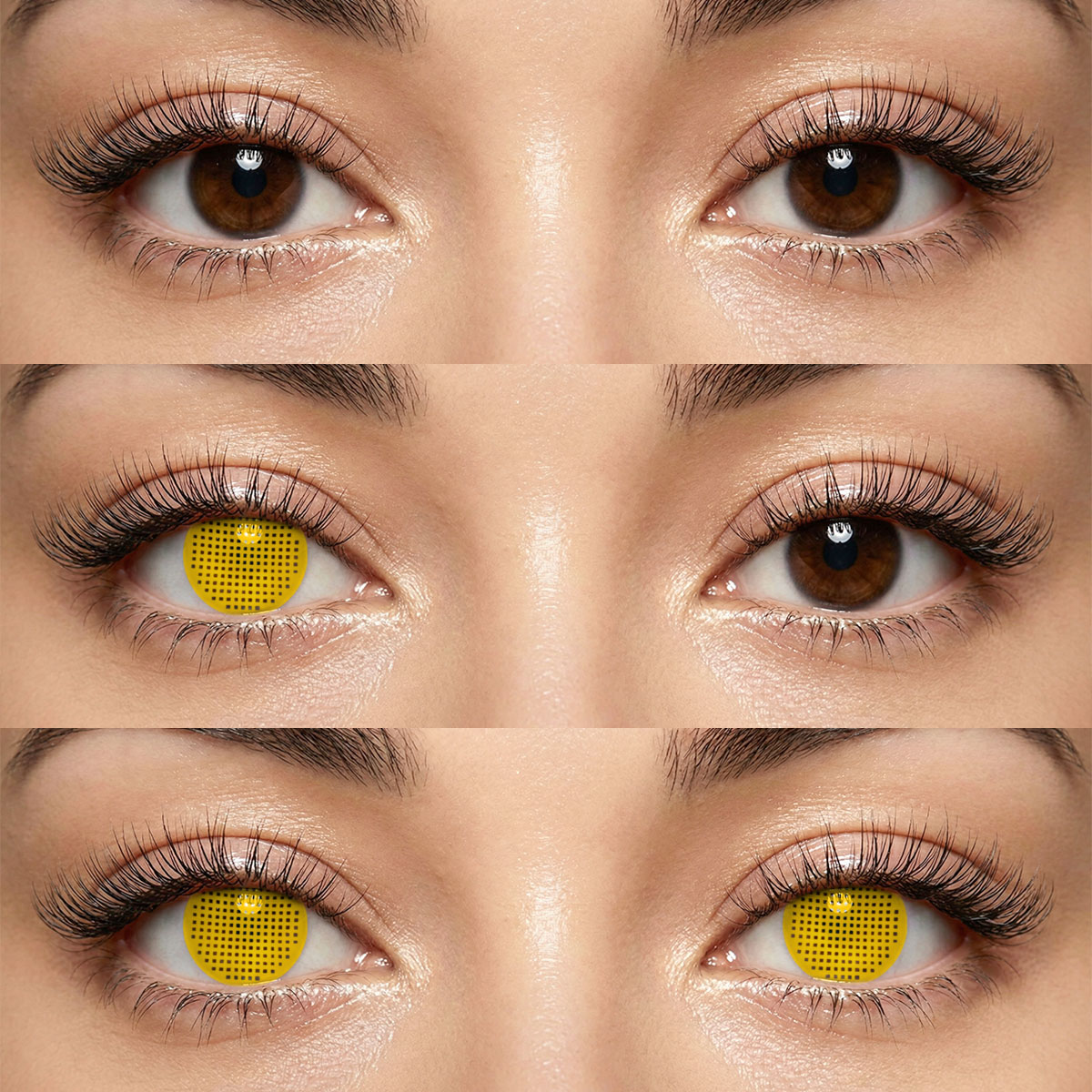 Akiwaii Screen Brown [Yearly]