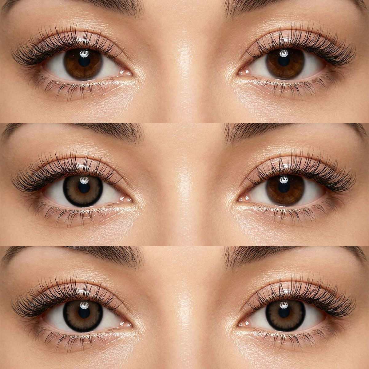 Akiwaii Thira Brown [Yearly]