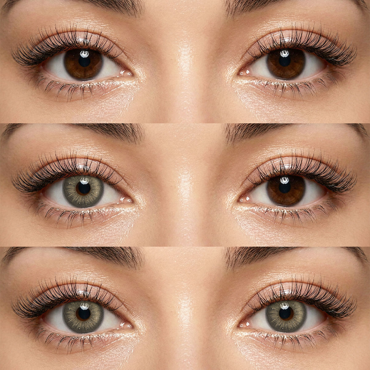Akiwaii Veloria Grey [Yearly]