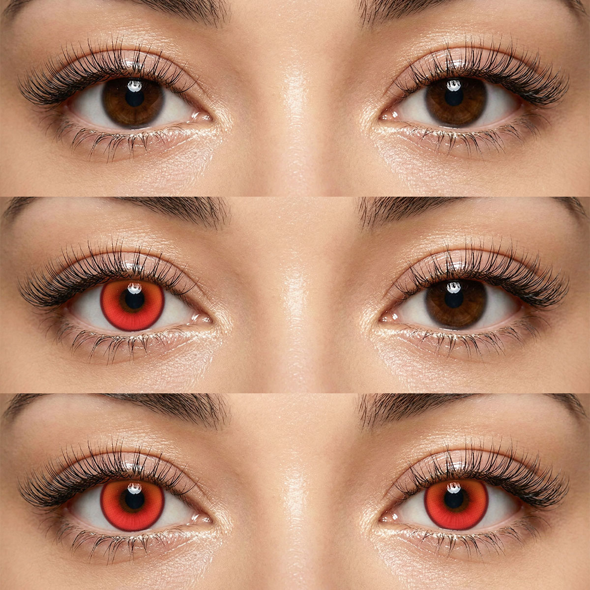 Akiwaii Coastal Red [6-Month Wear]