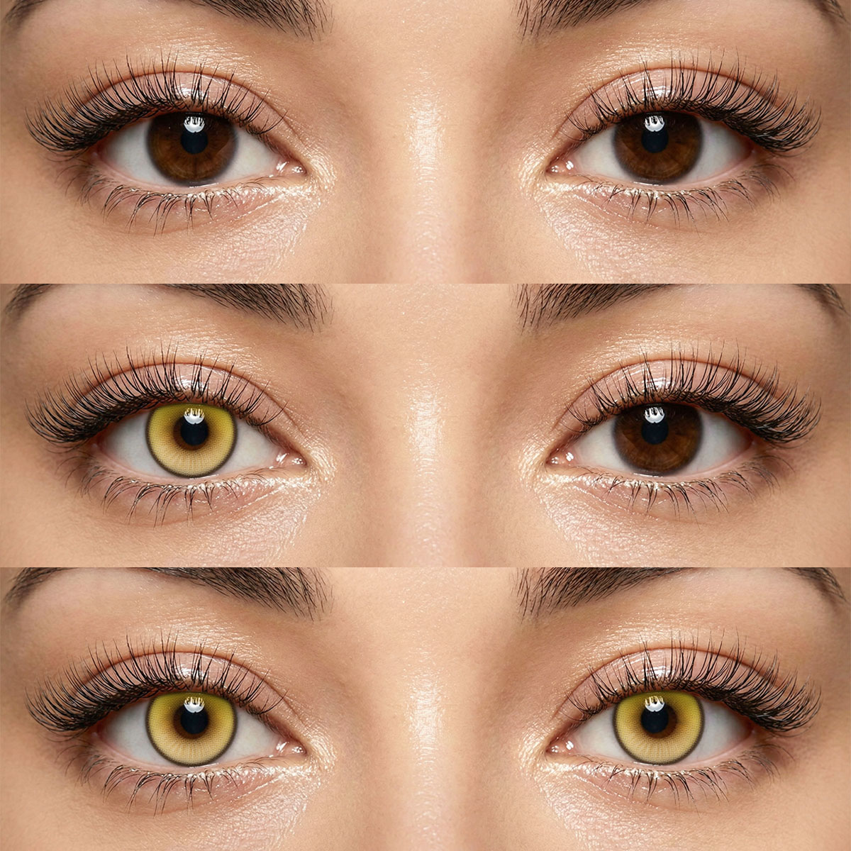 Akiwaii Coastal Yellow [Yearly]