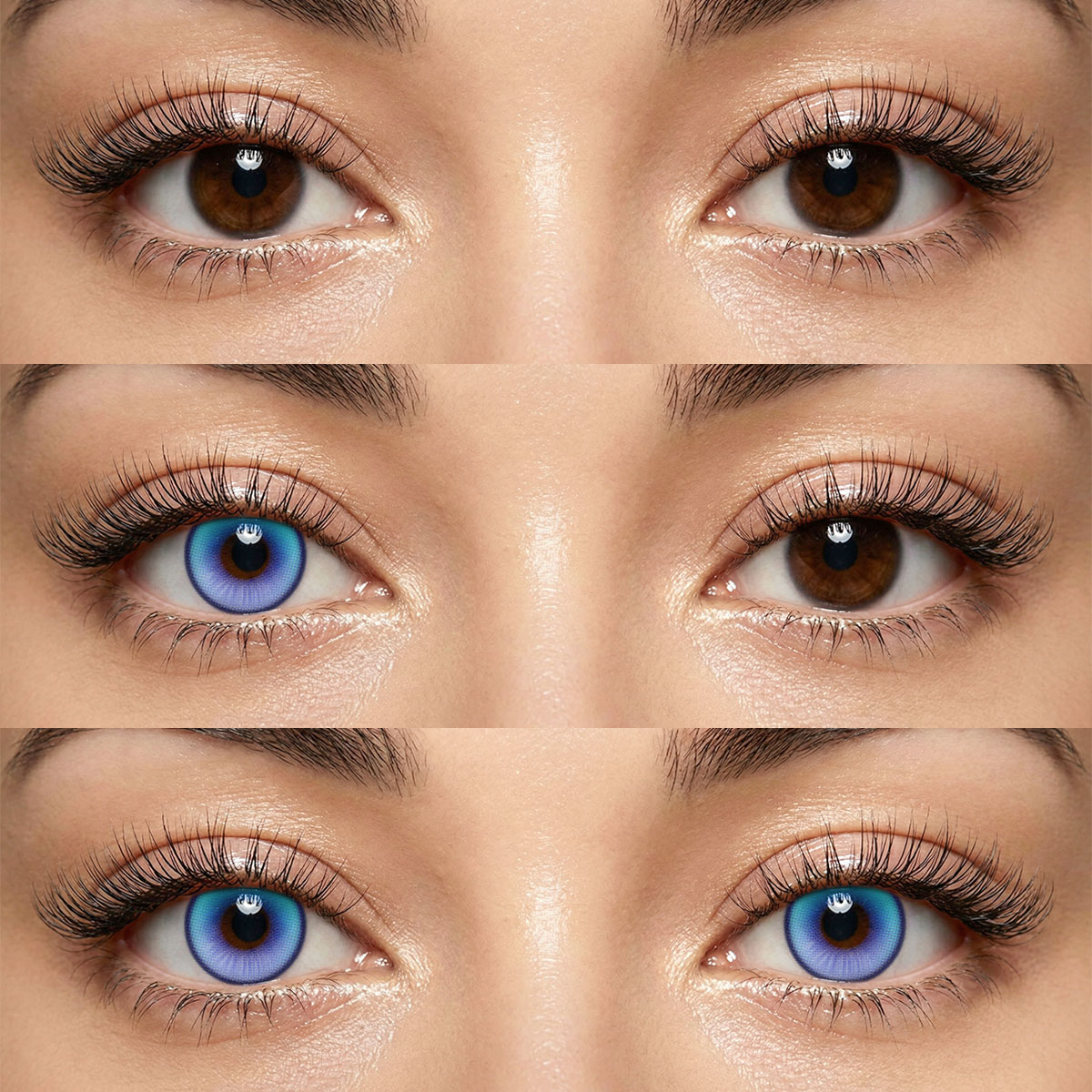 Akiwaii Coastal Blue [Yearly]