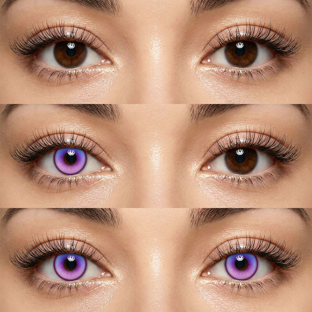 Akiwaii Coastal Purple [Yearly]