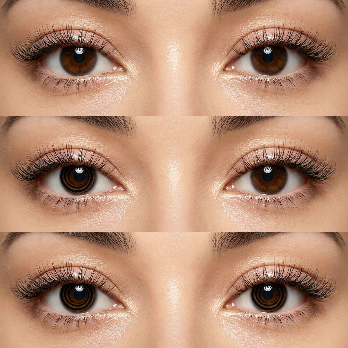 Akiwaii Swirl Black [Yearly]