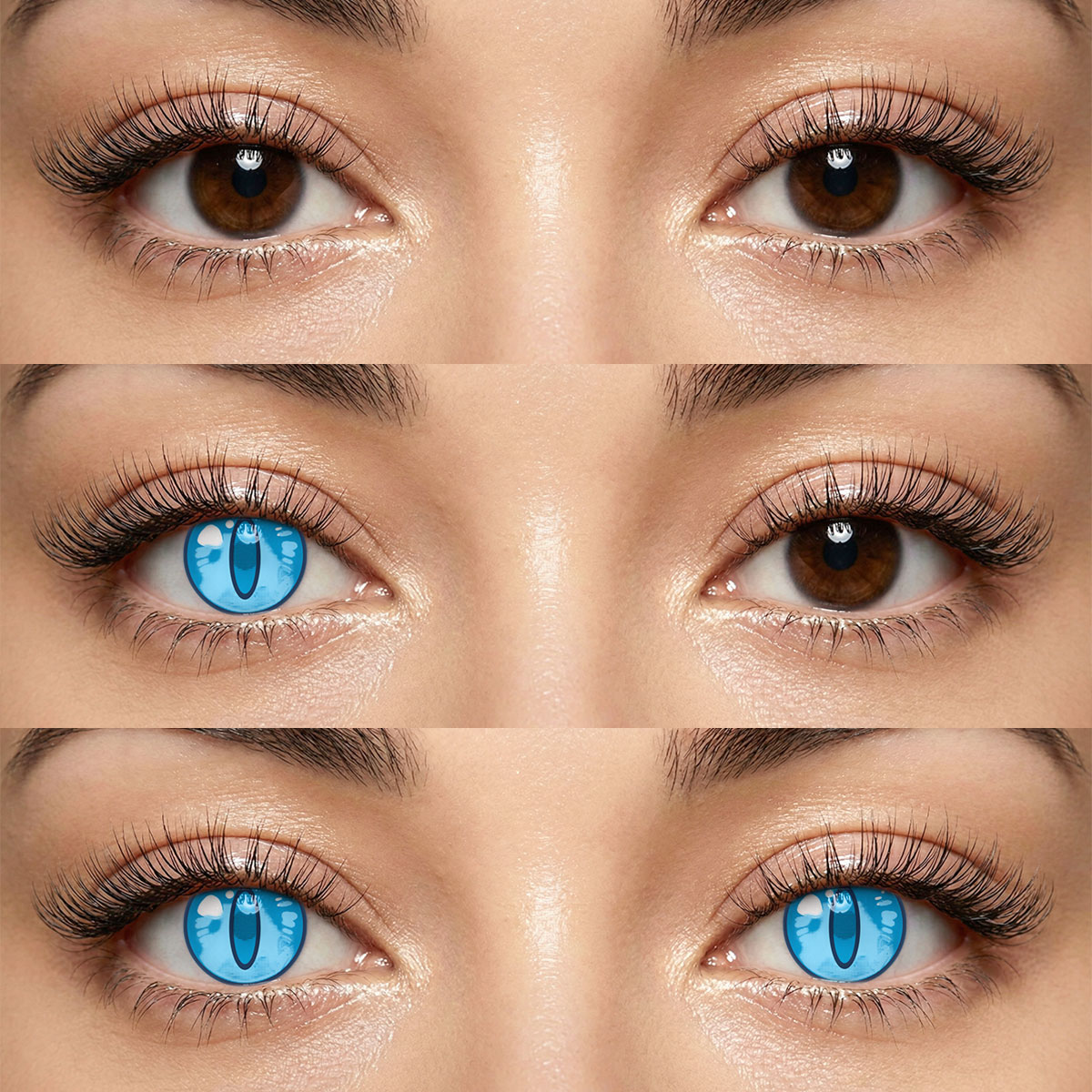 Akiwaii Frostfire Blue [Yearly]