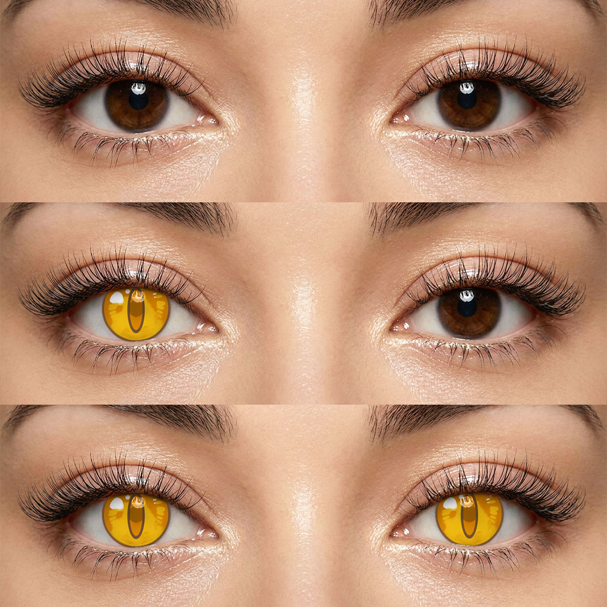 Akiwaii Frostfire Brown [6-Month Wear]