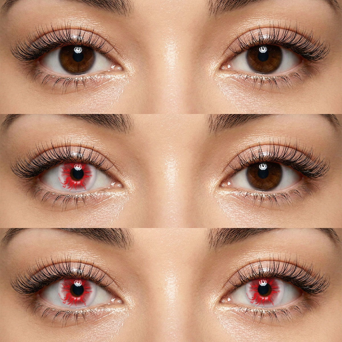 Akiwaii Sunflare Red [Yearly]