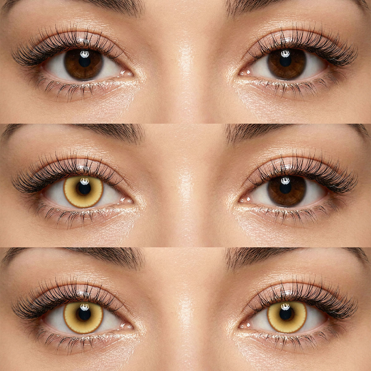 Akiwaii Stargleam Brown [6-Month Wear]