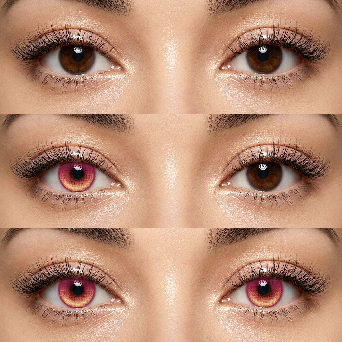 Akiwaii Rouge Red[Yearly]