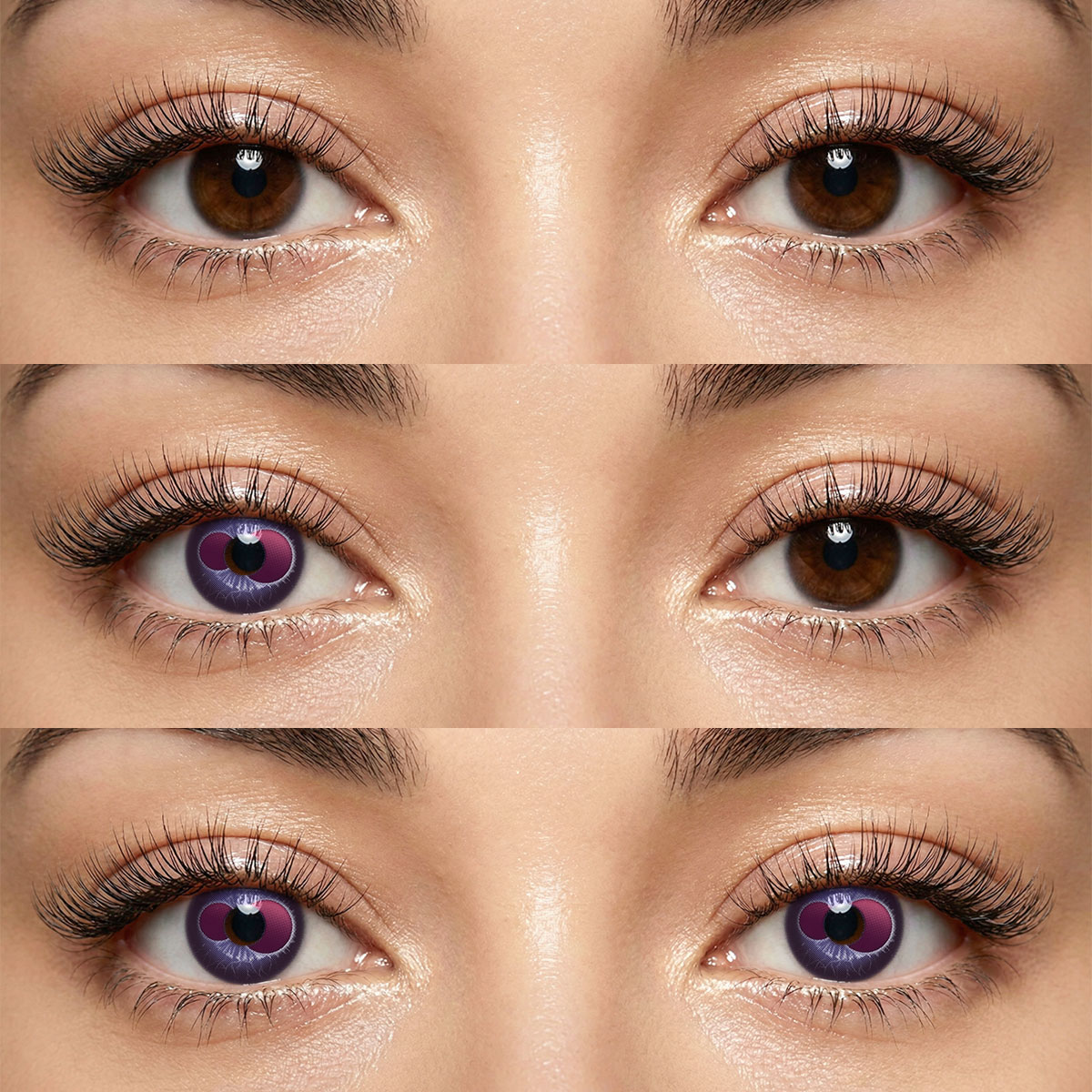 Akiwaii Dual Gaze Purple [Yearly]