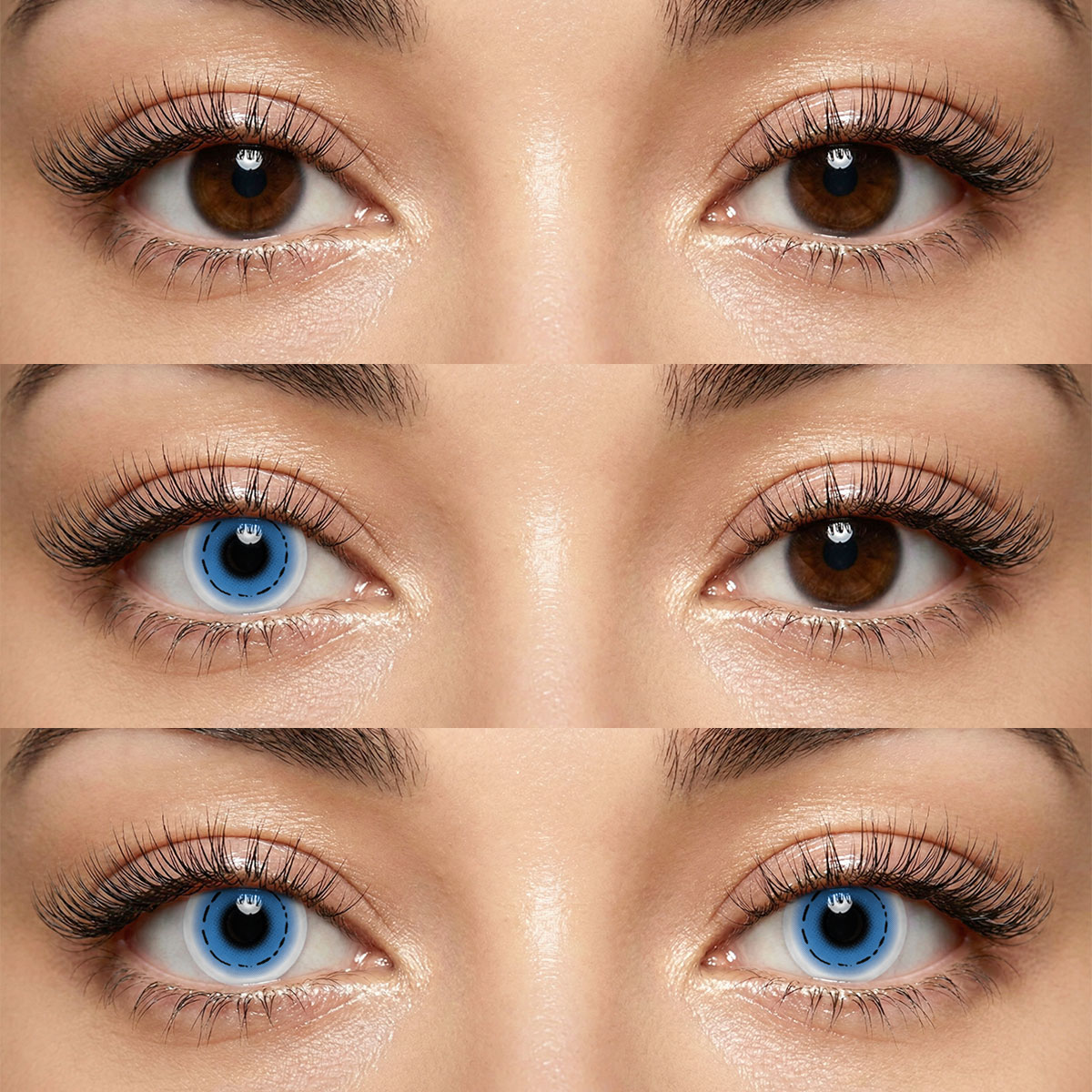 Akiwaii Oink Blue [Yearly]