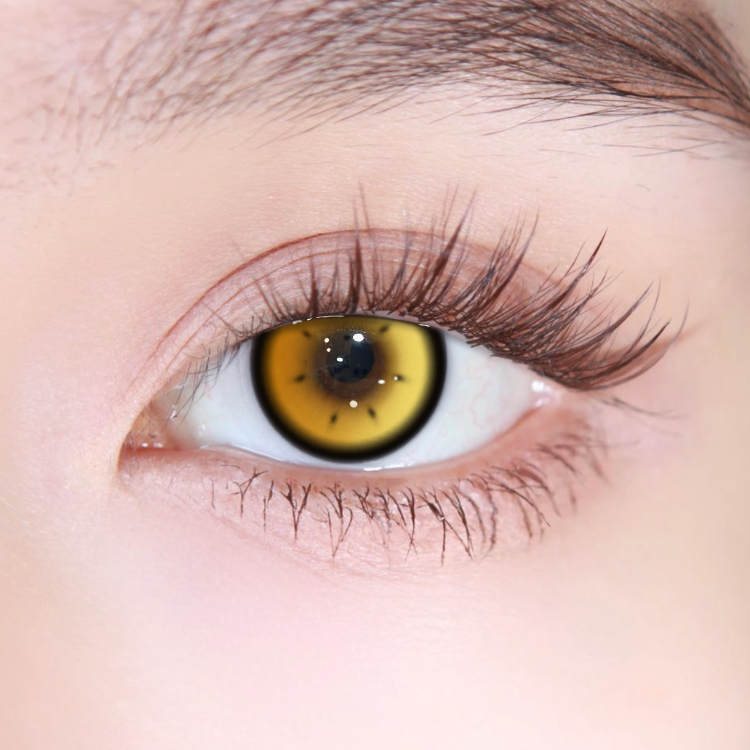 Akiwaii Luminate Brown[Yearly]