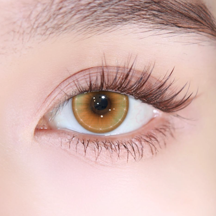 Akiwaii Thalassa Brown [Yearly]