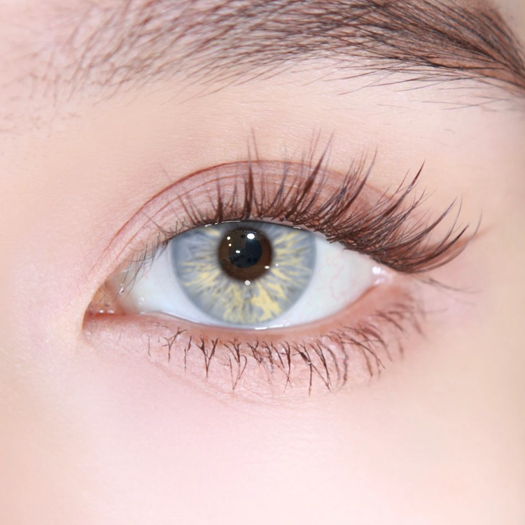 Akiwaii Emberwood Blue [Yearly]