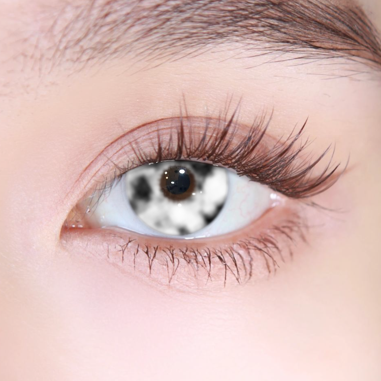 Akiwaii Blood Cell Black [Yearly]