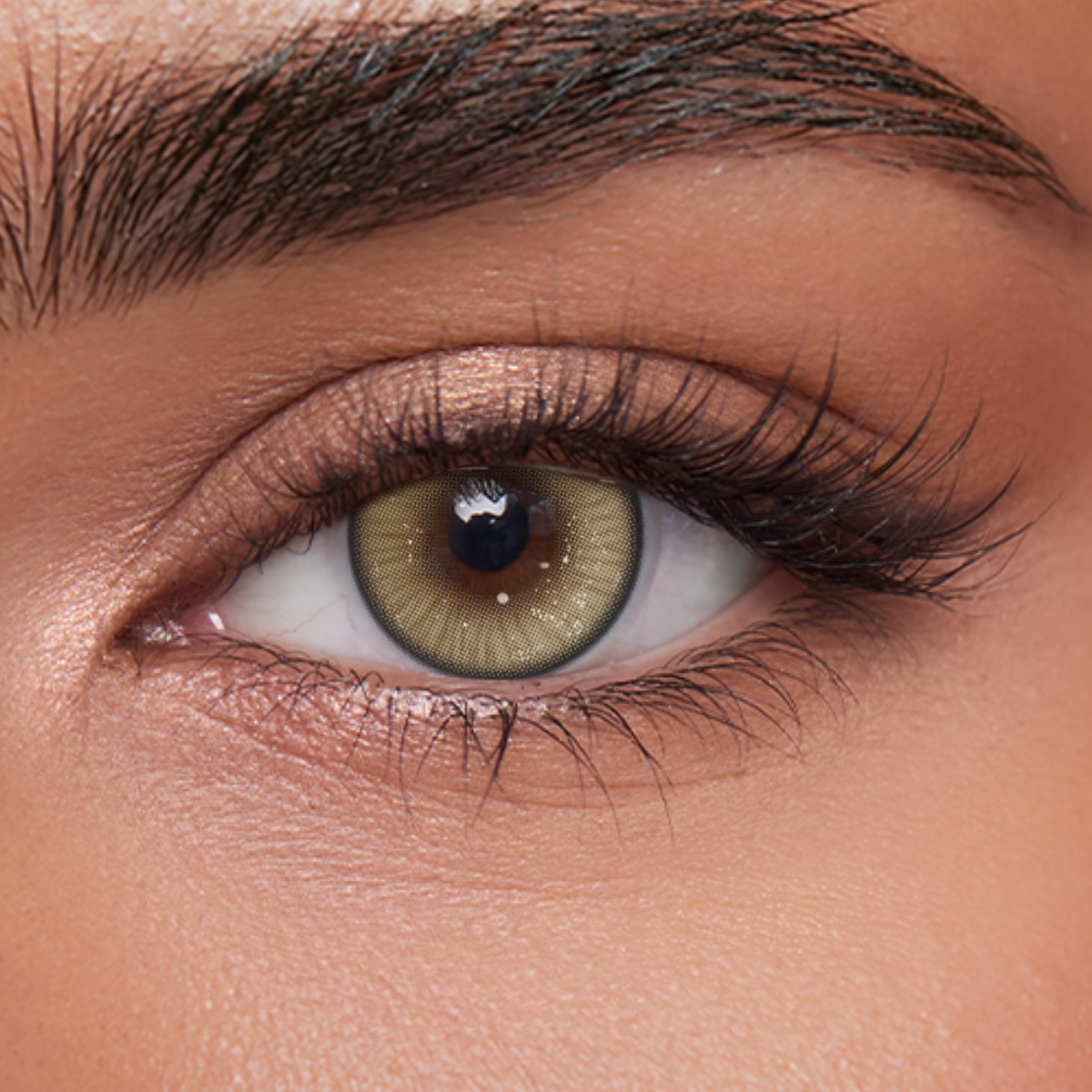 Akiwaii Mistique Brown [Yearly]