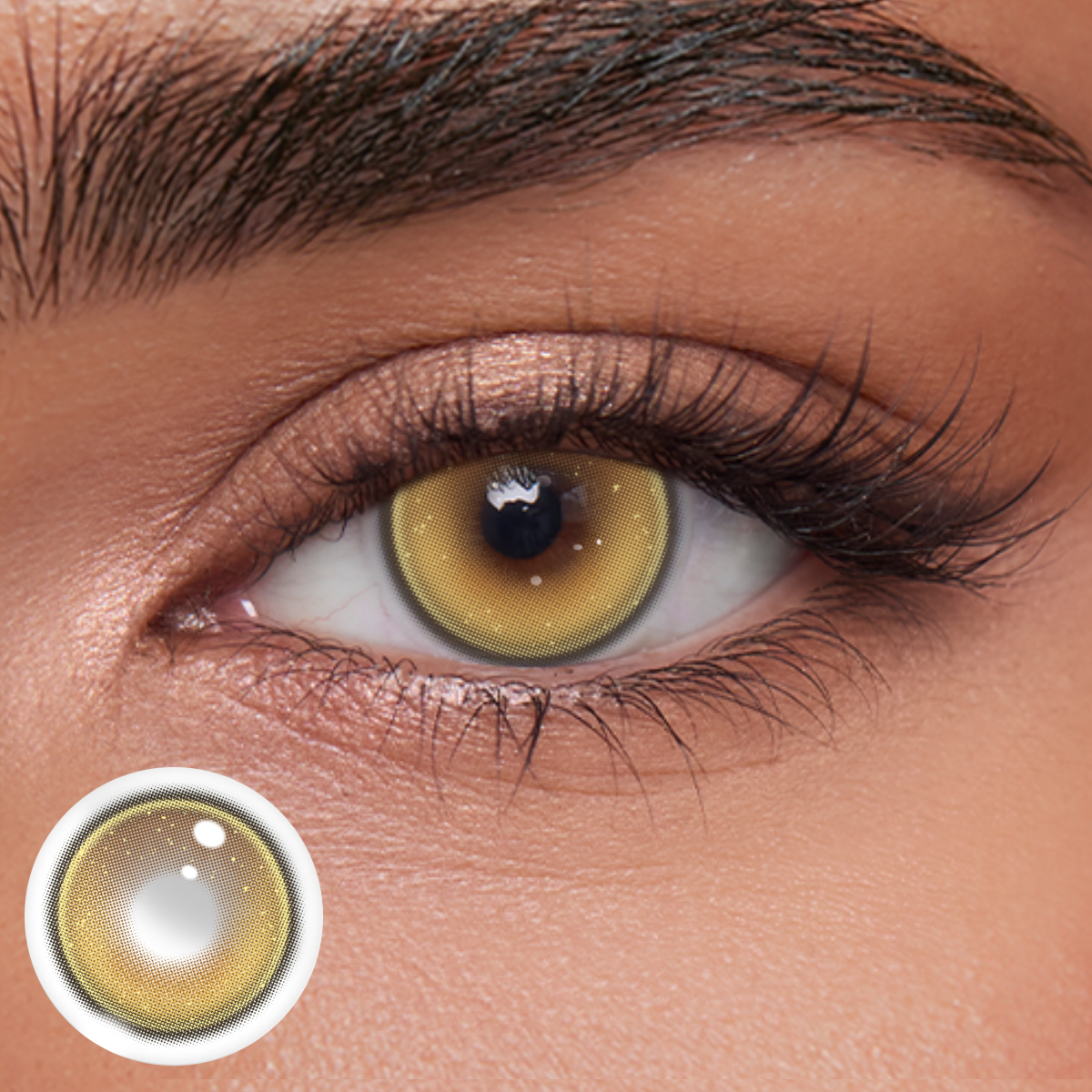 Akiwaii Tinsel Brown [Yearly]