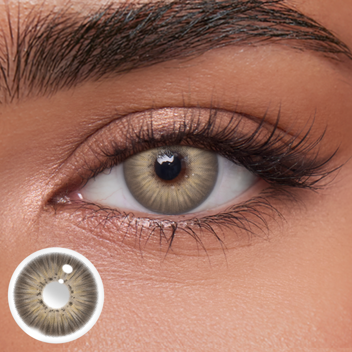 Akiwaii Arctic Brown [Yearly]