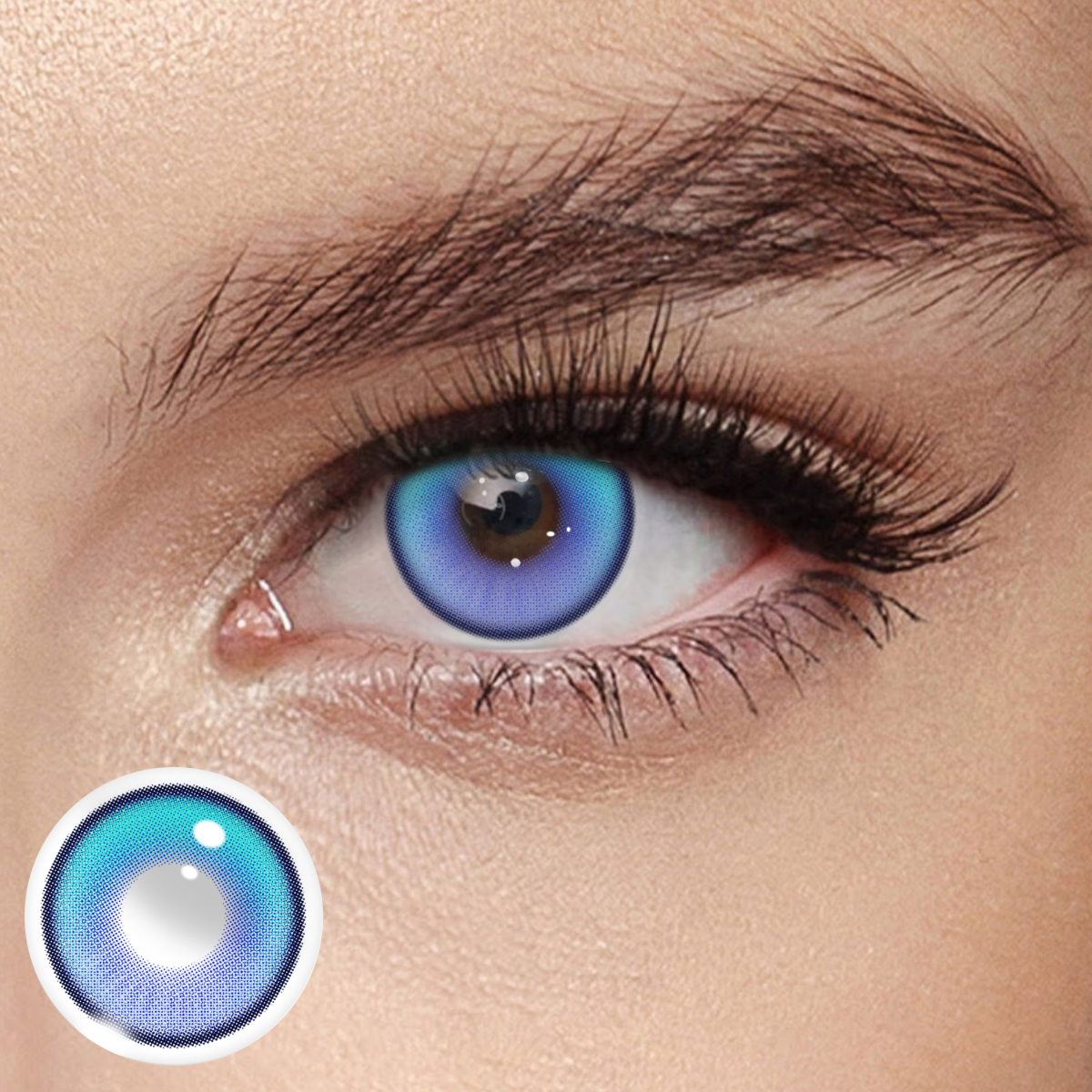 Akiwaii Coastal Blue [Yearly]