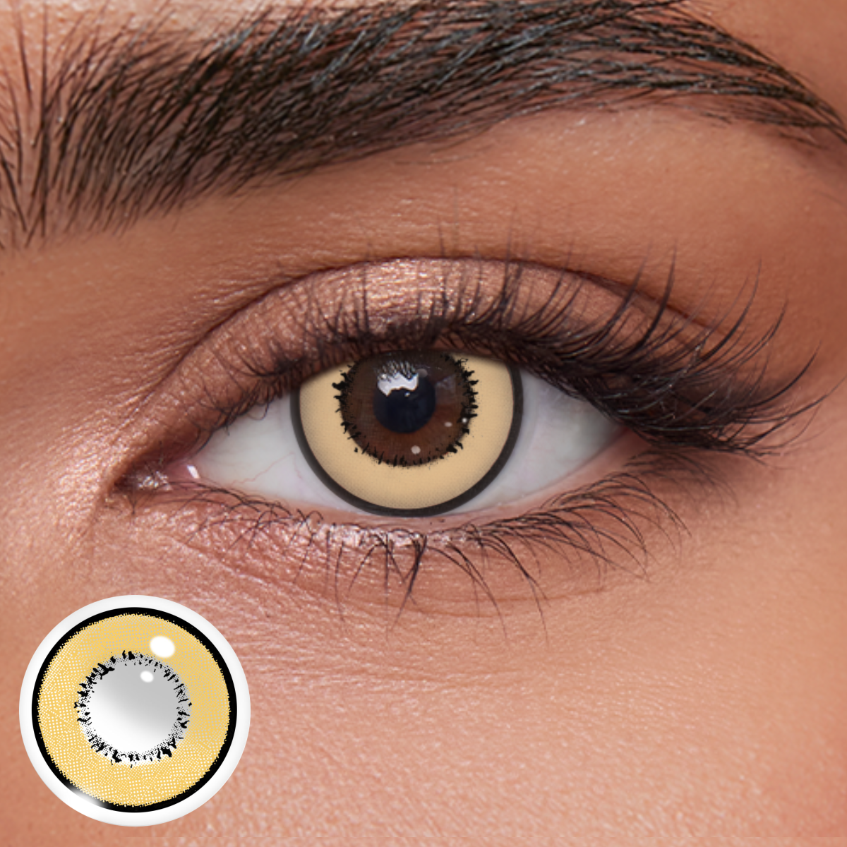 Akiwaii Magic Brown  [Yearly]