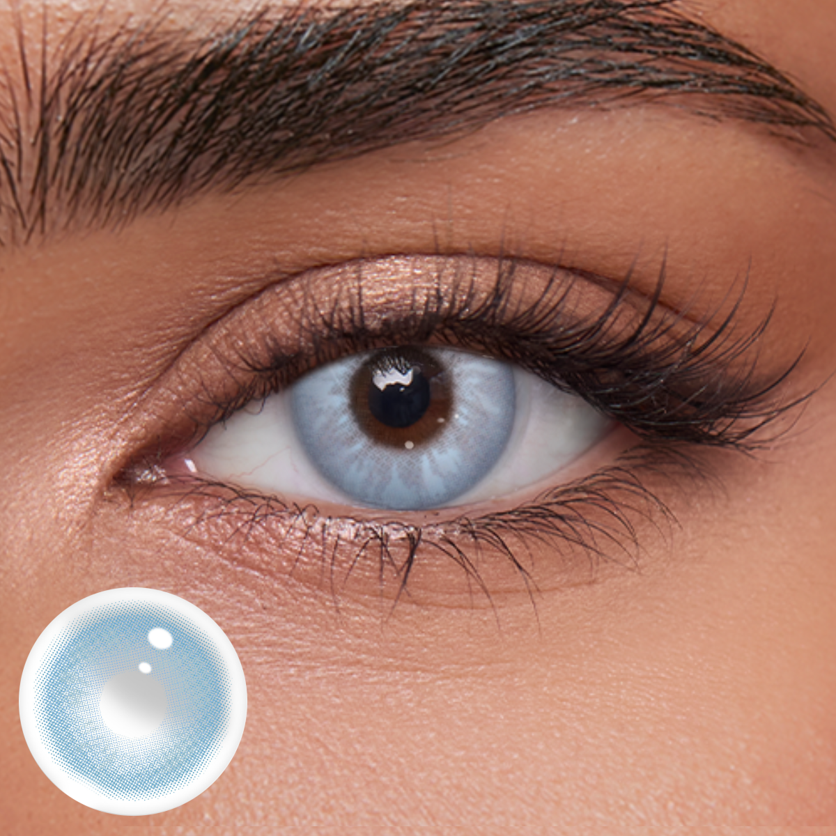 Akiwaii Frost Tint Blue [Yearly]