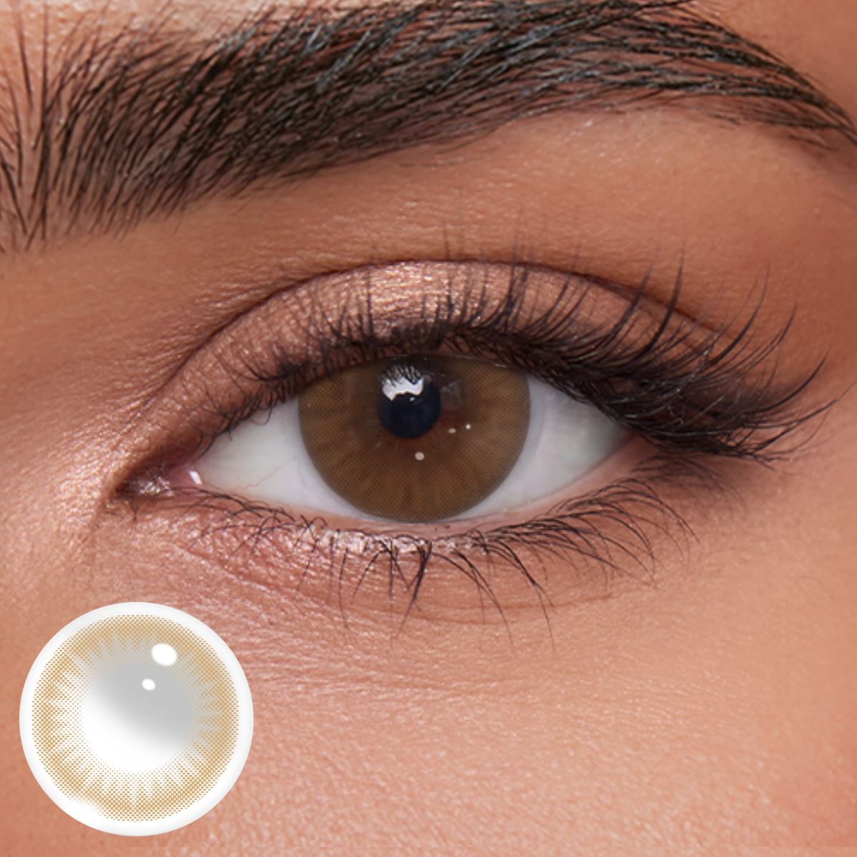 Akiwaii Mochi Brown [Daily]