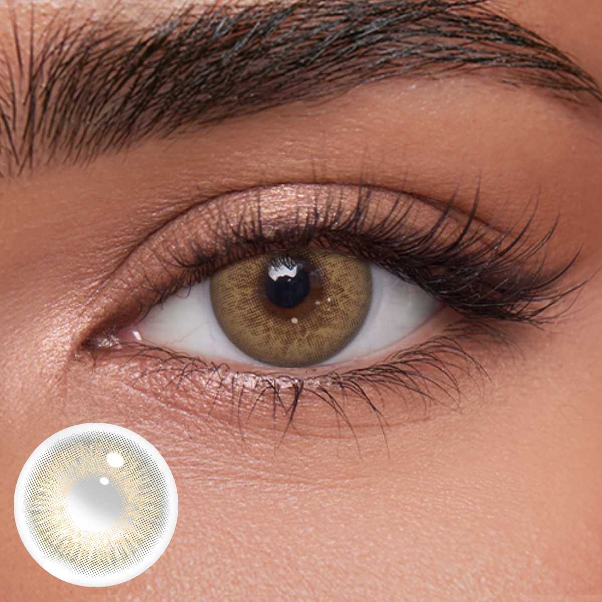 Akiwaii Champagne Tint Grey [Yearly]