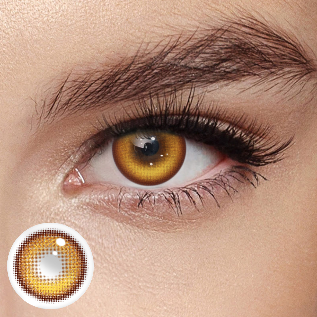 Akiwaii Bronze Beam Brwon [Yearly]