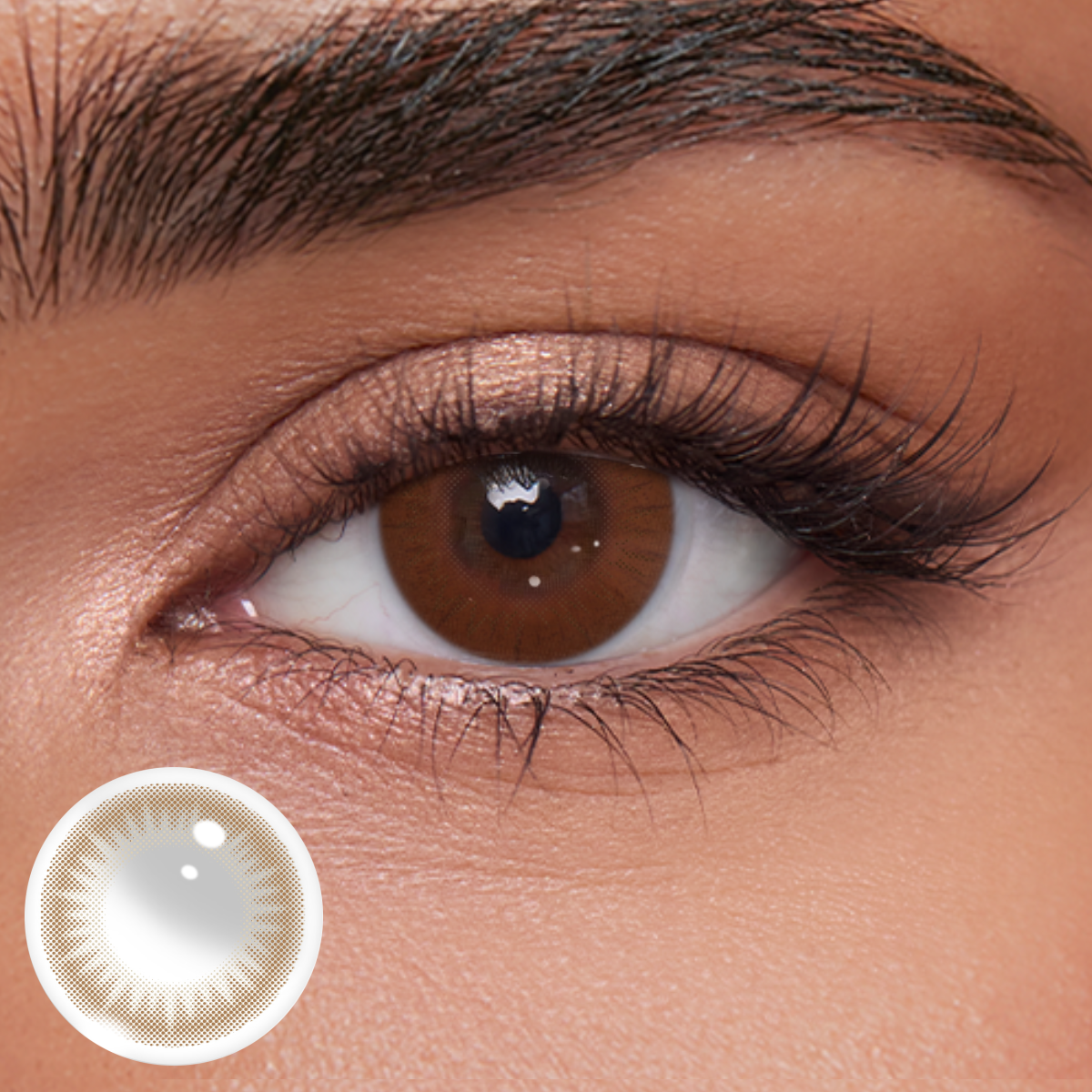 Akiwaii Frothy Brown[Daily]