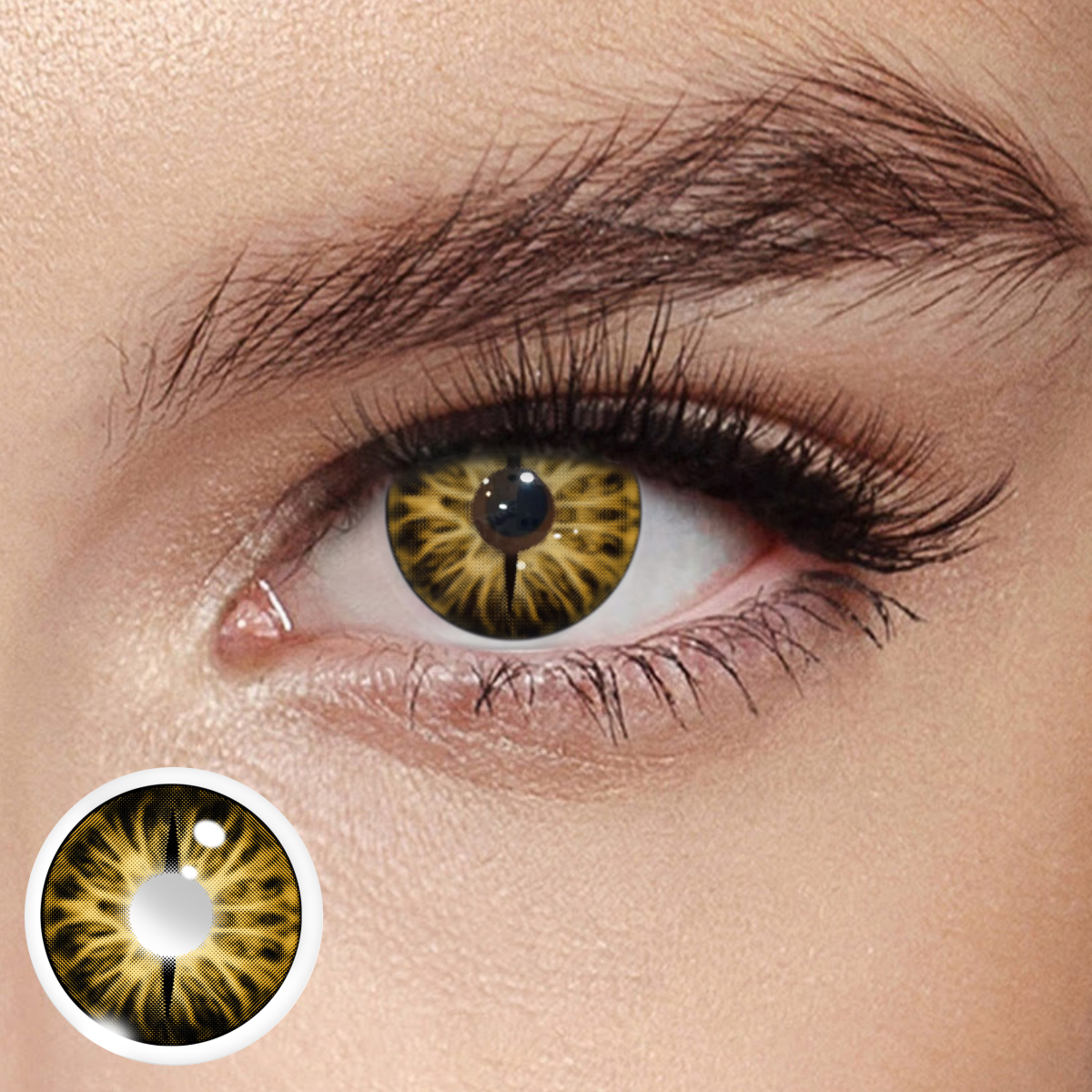 Akiwaii Arcane Tint Brown [Yearly]