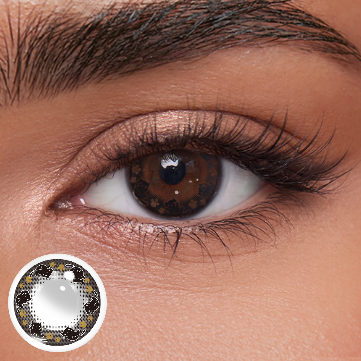 Akiwaii Kitten Luna Style [Yearly]