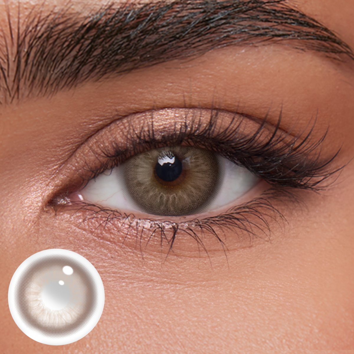 Akiwaii Solene Brown [Yearly]