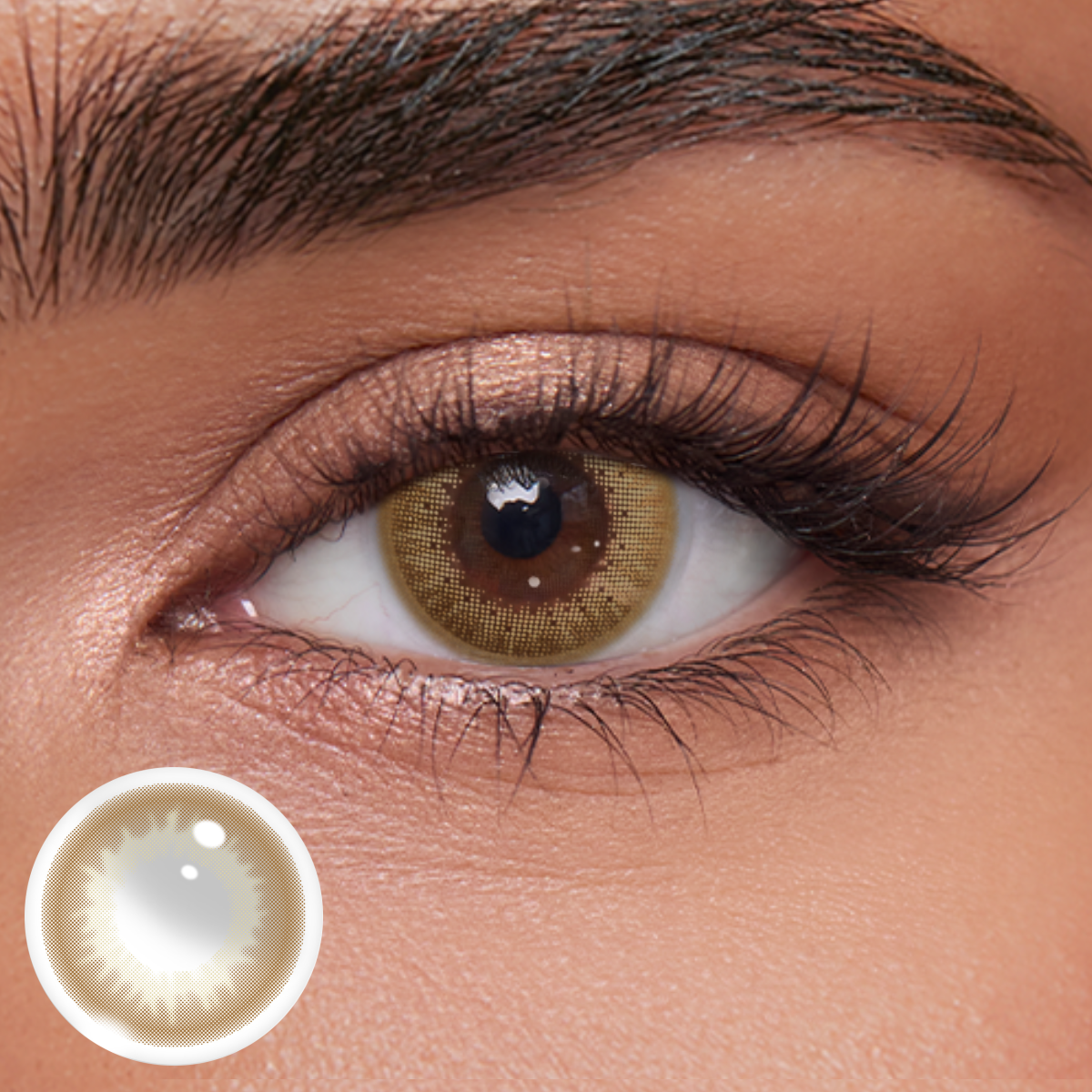 Akiwaii Chairos Brown[Daily]